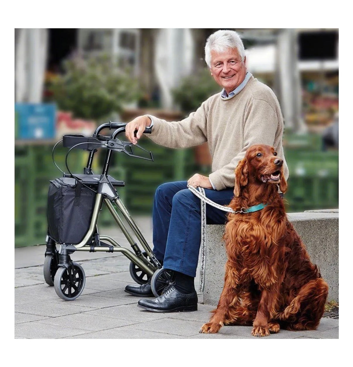 Rollator Leichtgewicht Taima M-GT Sepiagrün metallic